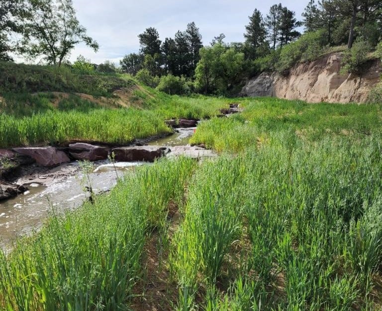 HydroTurfInc-Monument-Branck-Channel-Restoration-1-month-after-install-e1664827558976