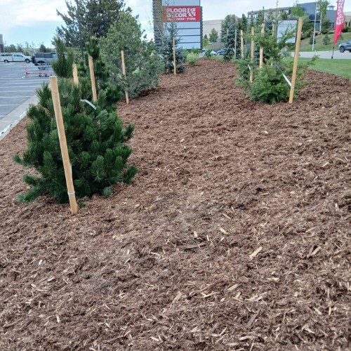 hydroturf-native-seeding-b