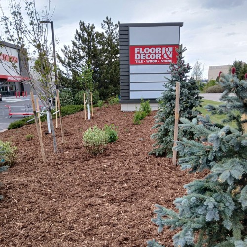 hydroturf-plantings-b