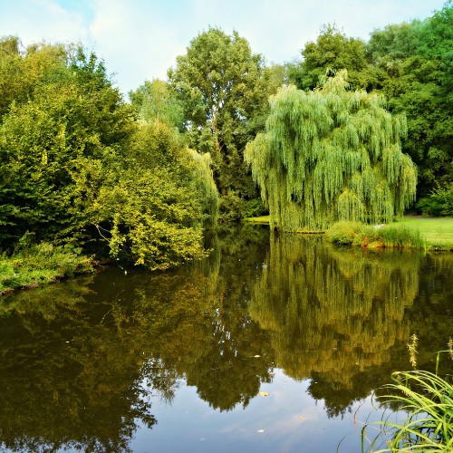 hydroturf-pond-clean-outs-b
