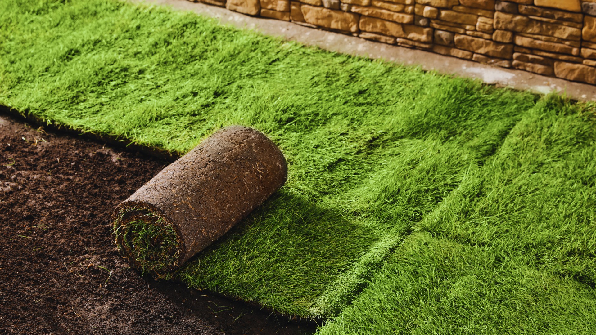 hydroturf-seed-sod-a